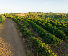 Governador anuncia R$ 35,9 milhões para infraestrutura urbana e rural de Ivaiporã