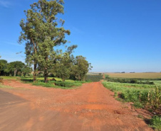 DER - Francisco Alves