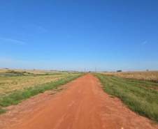 DER - Francisco Alves