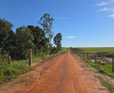 DER - Francisco Alves