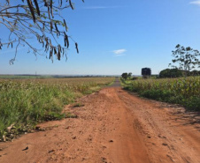 DER - Francisco Alves