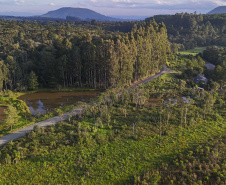 UNIÃO DA VITÓRIA - ESTRADA