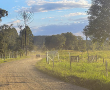 UNIÃO DA VITÓRIA - ESTRADA