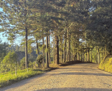 UNIÃO DA VITÓRIA - ESTRADA