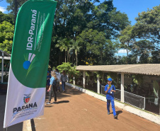 ExpoLondrina atrações do IDR-Paraná apontam para o futuro da agropecuária