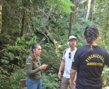 IAT - Acesso clandestino ao Pico Paraná