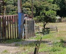 IAT - Acesso clandestino ao Pico Paraná