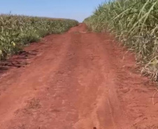 Convênio entre SEIL e Floraí para construir uma nova ponte (estrada)