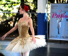 TEATRO GUAÍRA - processo seletivo Escola de Dança