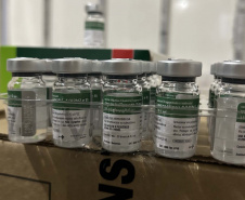 Sesa reforça necessidade de vacinação após alerta da FioCruz para alto risco de SRAGs na região Sul