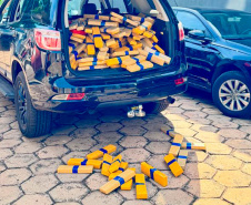 Em maior apreensão do ano, PCPR localiza 4,1 toneladas de maconha em Foz do Iguaçu