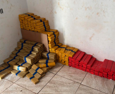 Em maior apreensão do ano, PCPR localiza 4,1 toneladas de maconha em Foz do Iguaçu