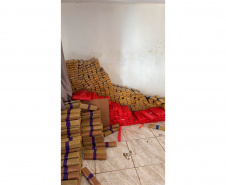 Em maior apreensão do ano, PCPR localiza 4,1 toneladas de maconha em Foz do Iguaçu