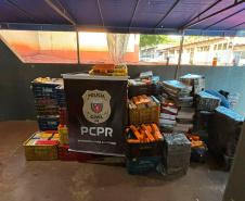 Em maior apreensão do ano, PCPR localiza 4,1 toneladas de maconha em Foz do Iguaçu