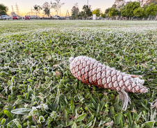 MAIO TERÁ GEADA, FRENTES FRIAS E MAIS SINAIS DE INVERNO NO PARANÁ