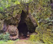 IAT - Unidades de Conservação
