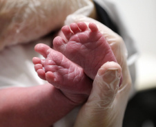 SESA - Paraná amplia monitoramento da triagem neonatal e reforça diagnóstico precoce