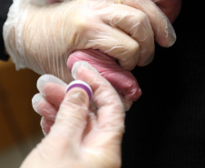 SESA - Paraná amplia monitoramento da triagem neonatal e reforça diagnóstico precoce