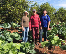 Com quase 40% da merenda ligada à agricultura familiar, Paraná reforça aprendizagem