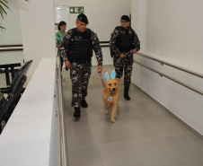 SESA - Hospital de Reabilitação inicia projeto de terapia com cães da Polícia Militar