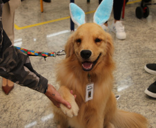 SESA - Hospital de Reabilitação inicia projeto de terapia com cães da Polícia Militar