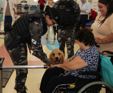 SESA - Hospital de Reabilitação inicia projeto de terapia com cães da Polícia Militar