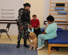SESA - Hospital de Reabilitação inicia projeto de terapia com cães da Polícia Militar