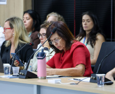 Banco Mundial avalia positivamente execução do Paraná Eficiente e alinha próximos passos com Governo do Estado