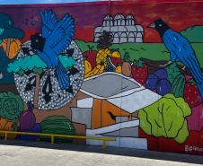 Da Rua XV para a Ceasa: um tributo à identidade curitibana