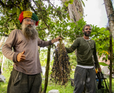 Fwd: Sugestão matéria | Açaí juçara vira oportunidade de renda para comunidades caiçaras