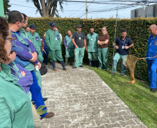 Adapar realiza treinamento para controle de zoonoses em animais de produção