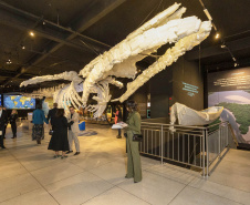 Sanepar - Museu da Sanepar vai abrir também aos domingos