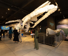 Museu do Saneamento e outros espaços de visitação da Sanepar abrem no feriado de 1º de maio