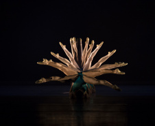 TEATRO GUAÍRA - EDTG: 70 anos formando caminhos na dança