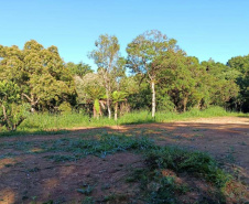  Primeira edição da força-tarefa "Espaço Naturais Protegidos", de combate a crimes ambientais em Unidades de Conservação, aplicou R$ 878 mil em multas.