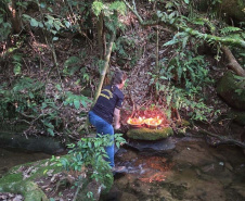  Primeira edição da força-tarefa "Espaço Naturais Protegidos", de combate a crimes ambientais em Unidades de Conservação, aplicou R$ 878 mil em multas.
