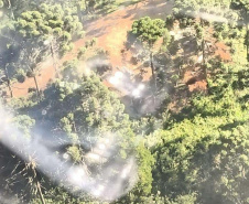  Primeira edição da força-tarefa "Espaço Naturais Protegidos", de combate a crimes ambientais em Unidades de Conservação, aplicou R$ 878 mil em multas.