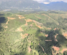  Primeira edição da força-tarefa "Espaço Naturais Protegidos", de combate a crimes ambientais em Unidades de Conservação, aplicou R$ 878 mil em multas.