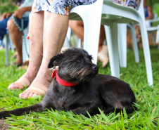 SEFA - Paraná Competitivo gera R$ 880 mil em contrapartida social para revitalização de praças com foco pet