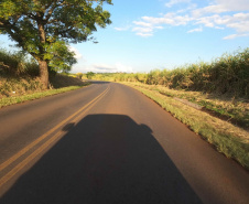 Santo Antônio da Platina e Andirá