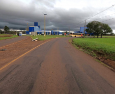 PR-317 entre Toledo e Assis Chateaubriand