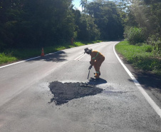 Cambará e Ribeirão Claro