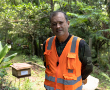 Sanepar resgata mais de 70 colmeias de abelhas nativas no Reservatório Miringuava