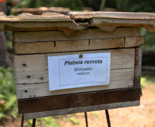 Sanepar resgata mais de 70 colmeias de abelhas nativas no Reservatório Miringuava