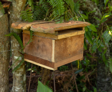 Sanepar resgata mais de 70 colmeias de abelhas nativas no Reservatório Miringuava