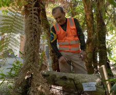 Sanepar resgata mais de 70 colmeias de abelhas nativas no Reservatório Miringuava