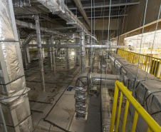 Paraná se prepara para fornecer insumos para saúde animal a todo o país