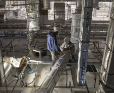 Paraná se prepara para fornecer insumos para saúde animal a todo o país