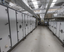 Paraná se prepara para fornecer insumos para saúde animal a todo o país