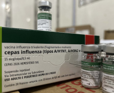 Sesa reforça necessidade de vacinação após alerta da FioCruz para alto risco de SRAGs na região Sul